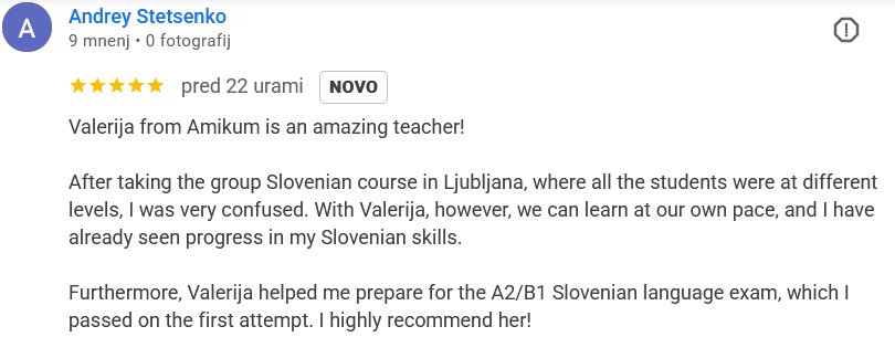 Mnenje o tečaju slovenščine za tujce