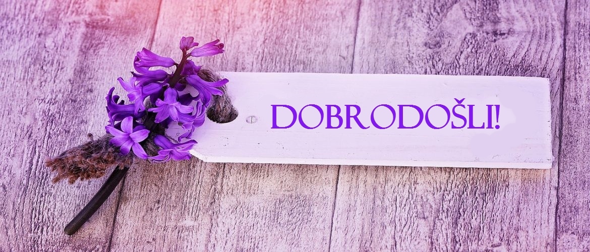 Amikum, lektoriranje Maribor, inštrukcije angleščine Maribor