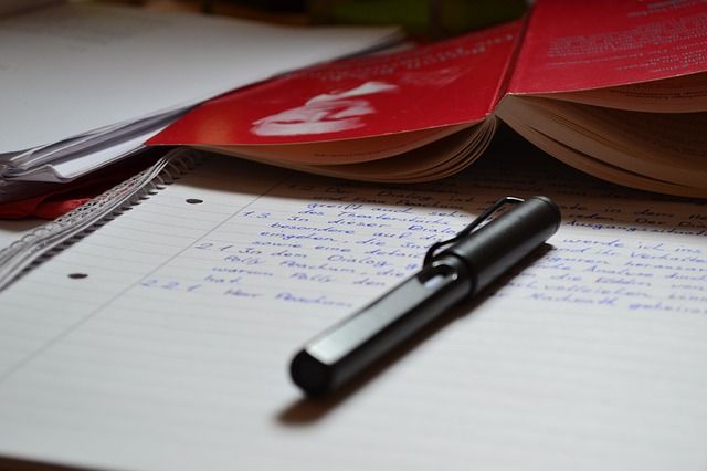 Dispozicija diplomske naloge