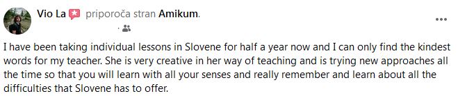 Learn Slovene via Google Meet online at AMIKUM - opinion